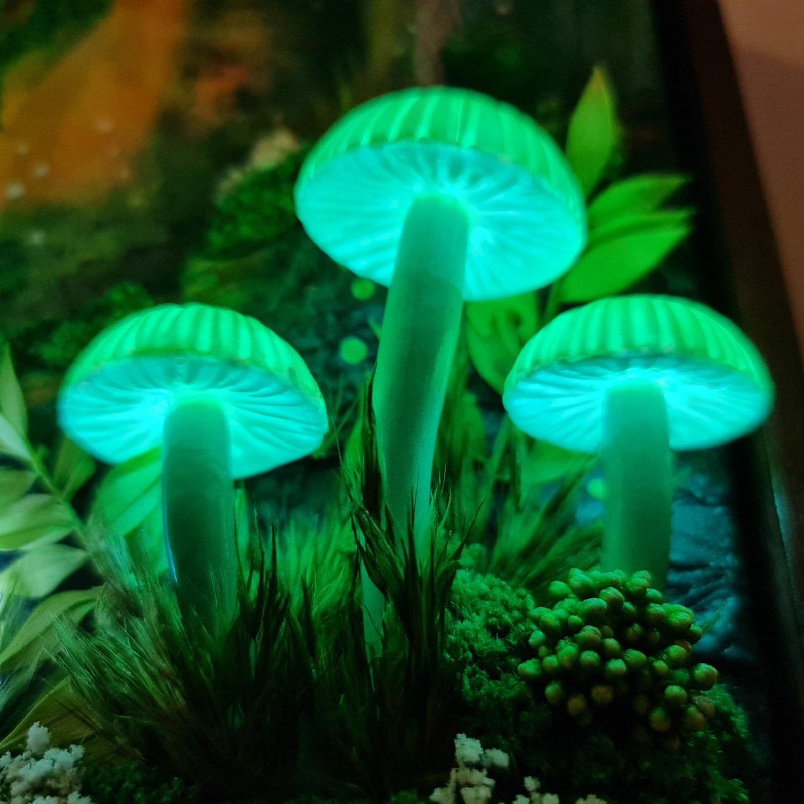 Handmade 3D LED Mushroom Wall Lamp – Glowing Fantasy Forest Night Light | Cottagecore Fairy Room Décor